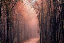 费迪南德:人生第一双球鞋是二手的,希望年轻人都有装备踢球.