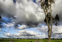 香港国际七人橄榄球赛：中国女队两连败.