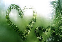 欧陆娱乐官方网站：叶诗文回应“报仰泳”：带来新刺激潮新闻.